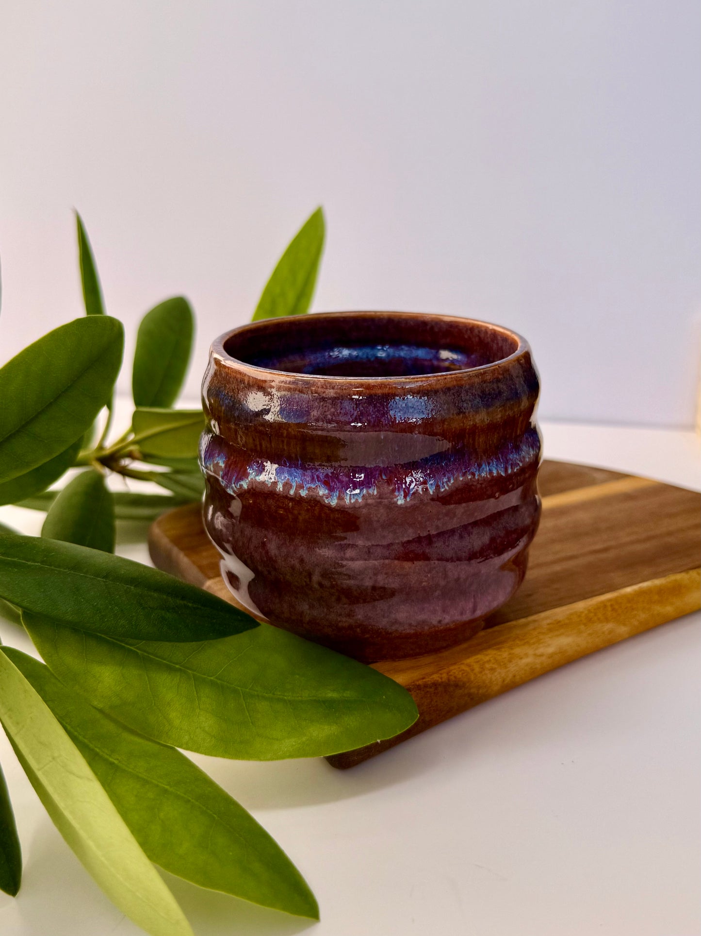Cappuccino Cups „Summertime“