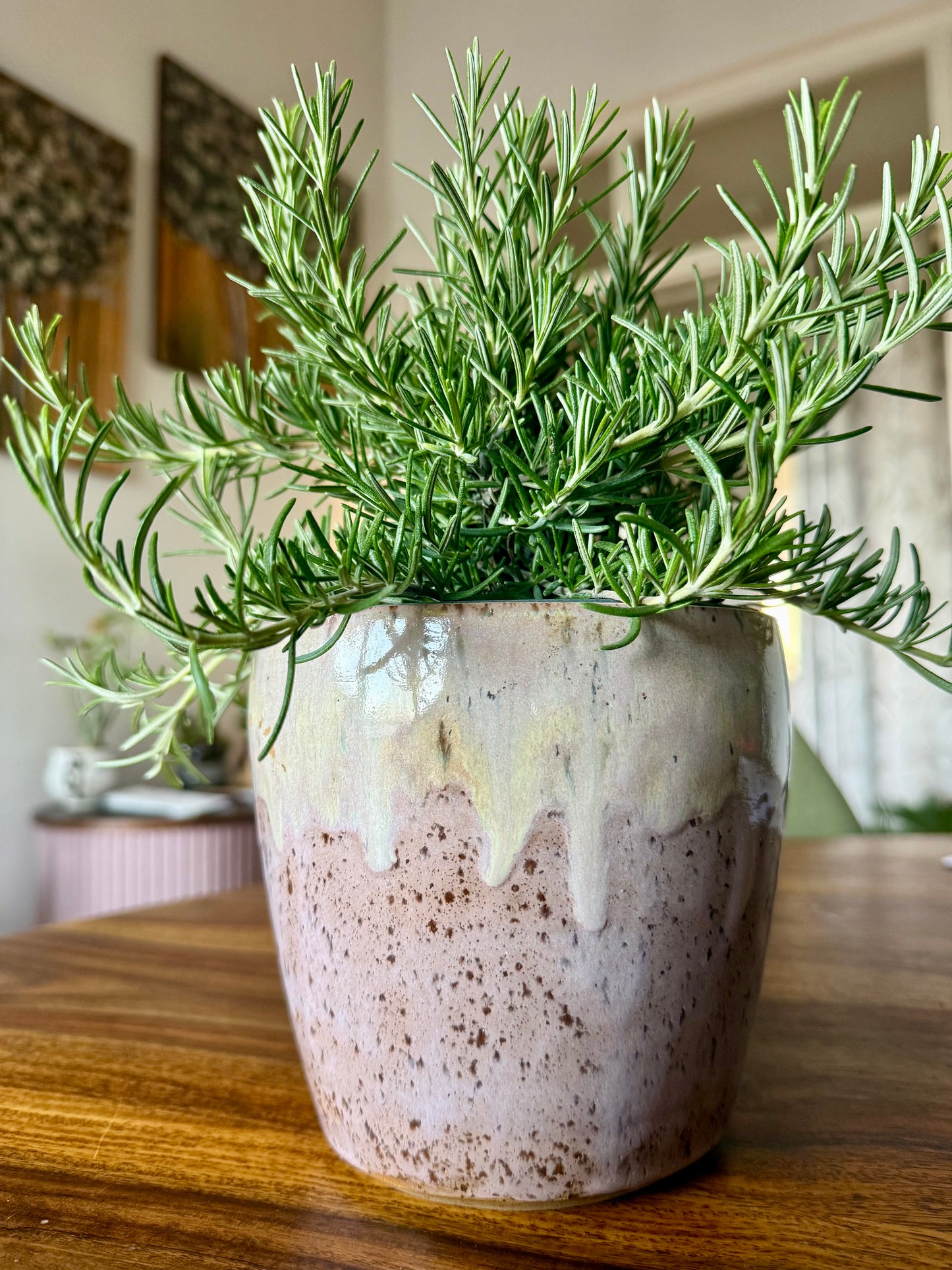 Blumentopf Rosé-Sparkle