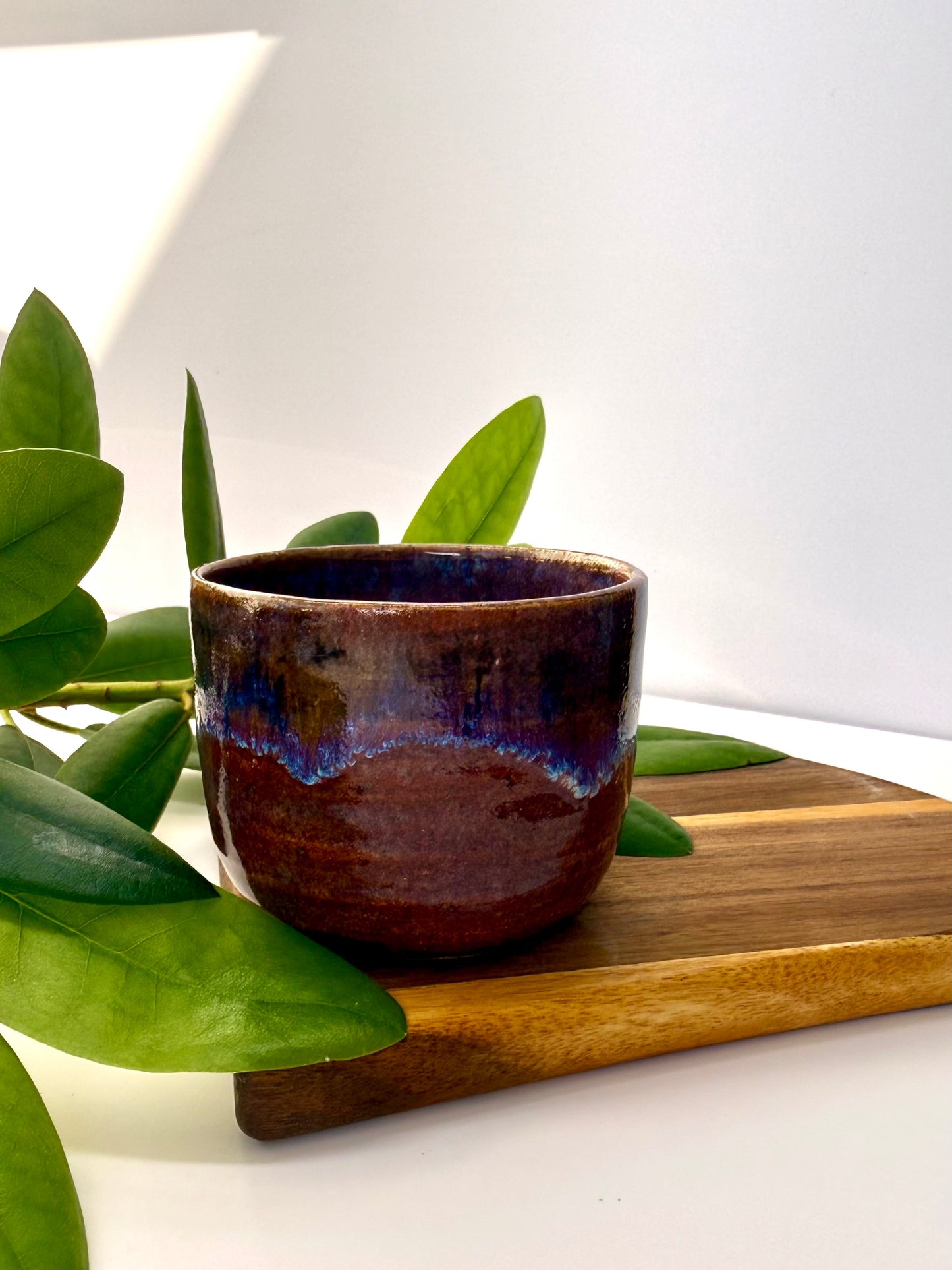 Cappuccino Cups „Summertime“