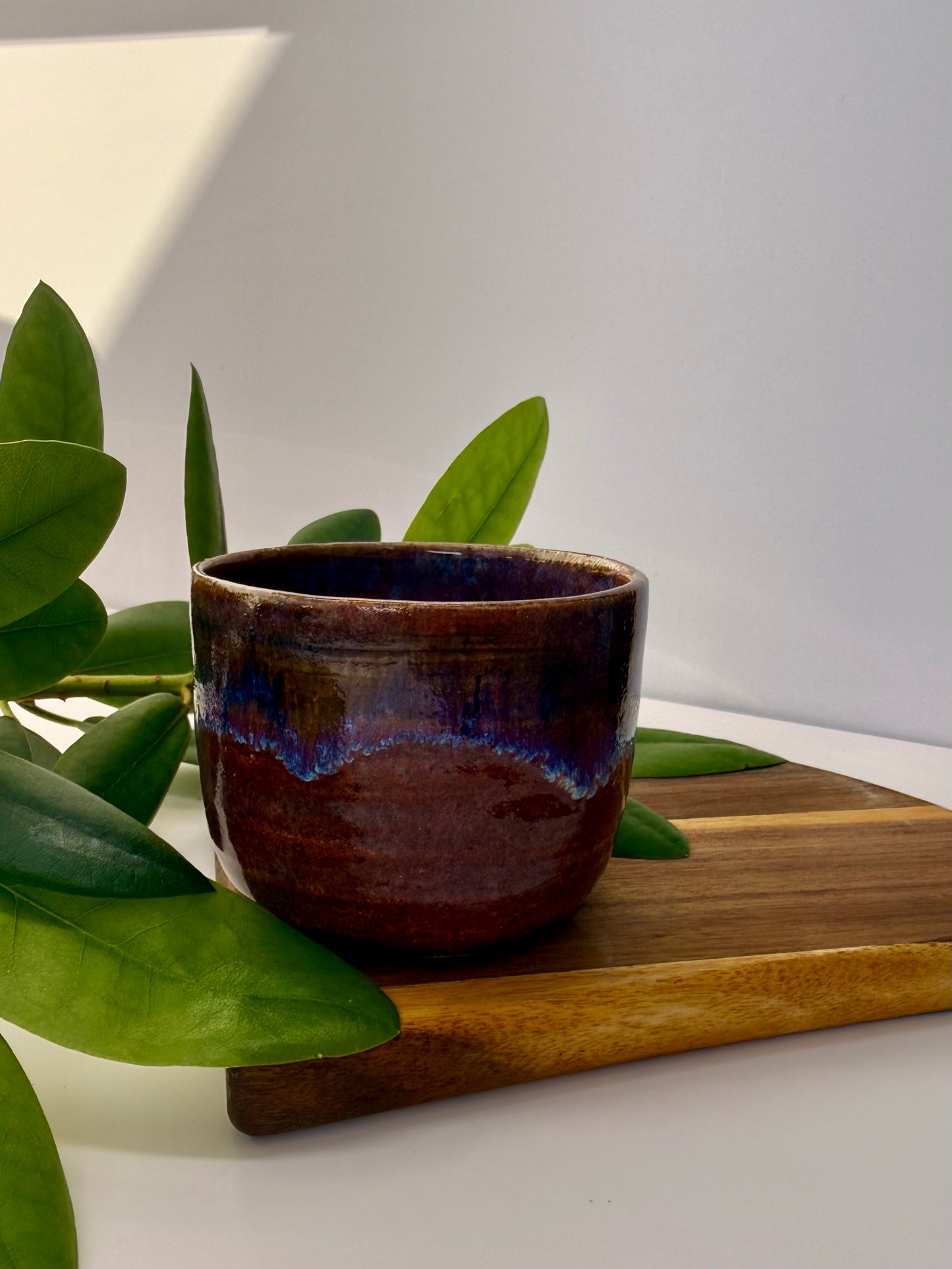Cappuccino Cups „Summertime“